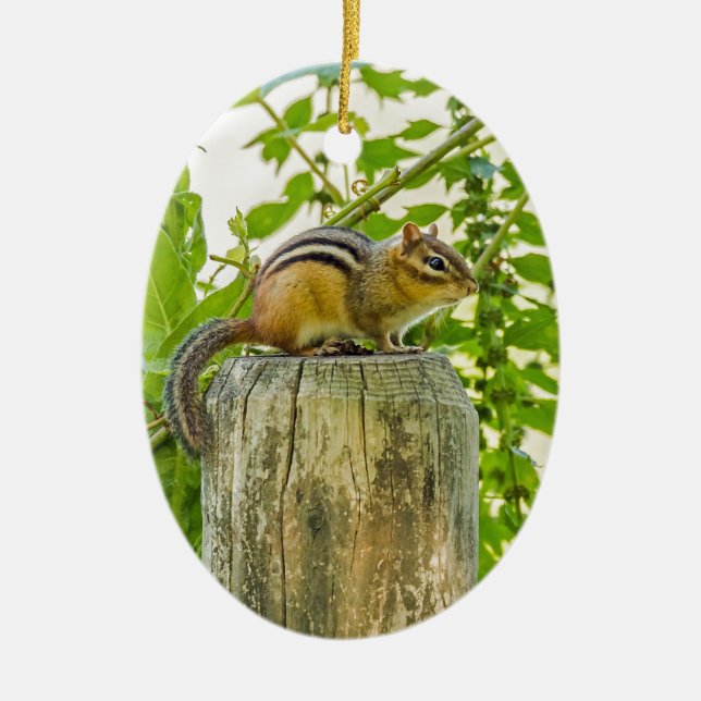 Chipmunk on a Fence Post Ceramic Tree Decoration (Front)