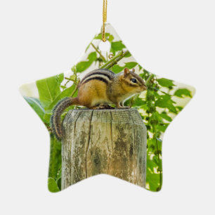 Chipmunk on a Fence Post Ceramic Tree Decoration