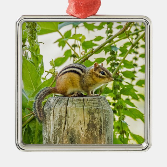 Chipmunk on a Fence Post Metal Tree Decoration (Front)