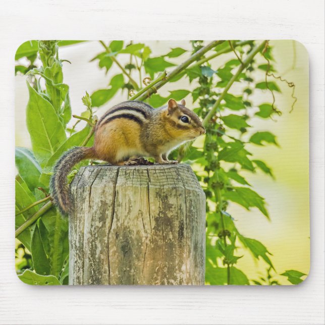 Chipmunk on a Fence Post Mouse Mat (Front)