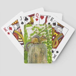 Chipmunk on a Fence Post Playing Cards