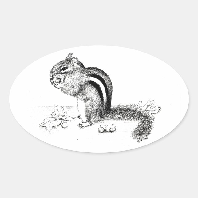 Chipmunk Oval Sticker (Front)