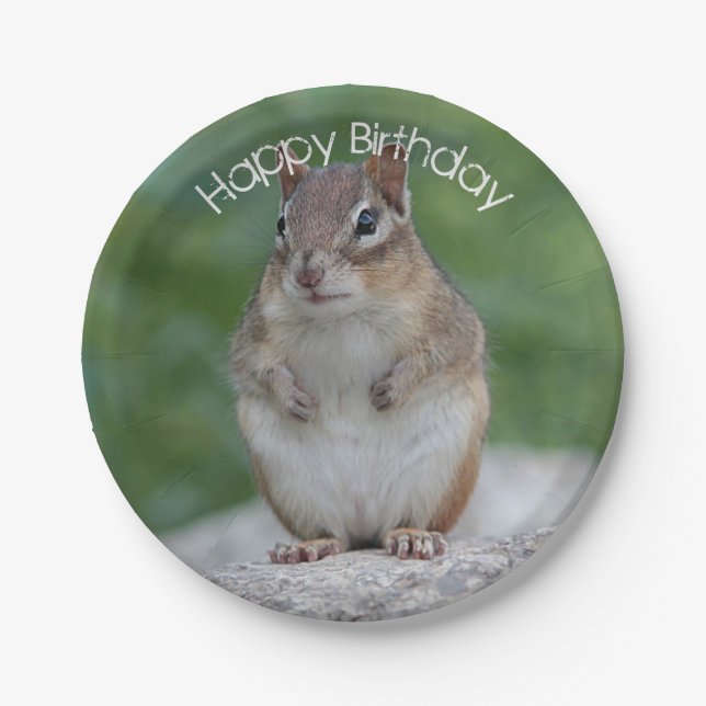 Chipmunk Paper Plate (Front)