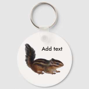 Chipmunk photo　(31) key ring