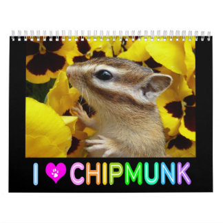 Chipmunk photo (3) calendar