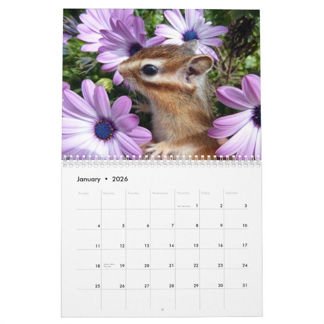 Chipmunk photo　(3) calendar (Jan 2026)
