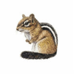 Chipmunk Photo Sculpture Decoration<br><div class="desc">A cute acrylic chipmunk ornament.</div>