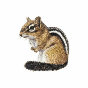Chipmunk Photo Sculpture Decoration
