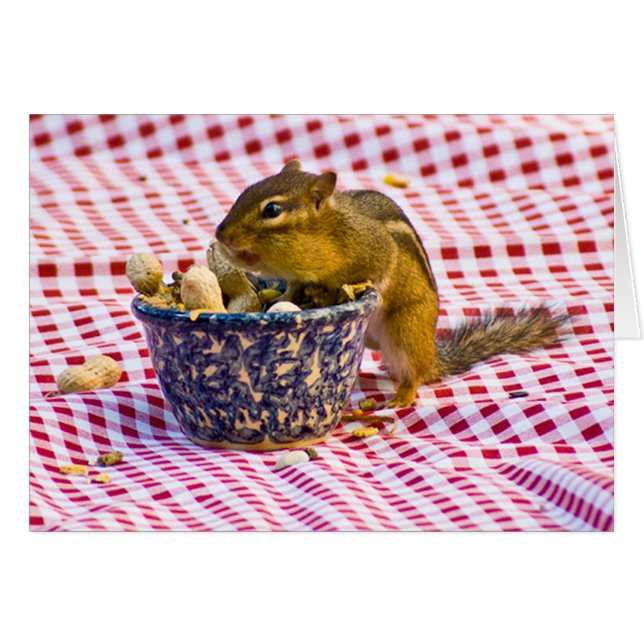 Chipmunk Picnic (Front Horizontal)