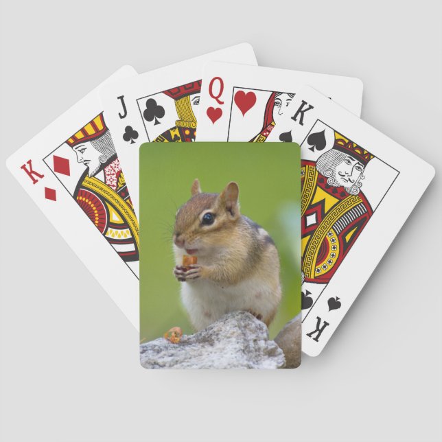 Chipmunk Playing Cards (Back)