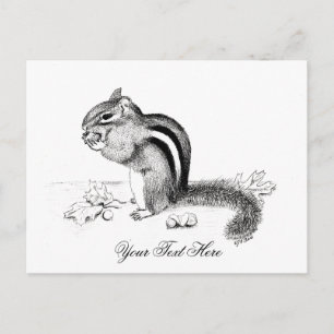 Chipmunk Postcard