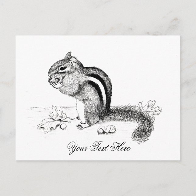 Chipmunk Postcard (Front)