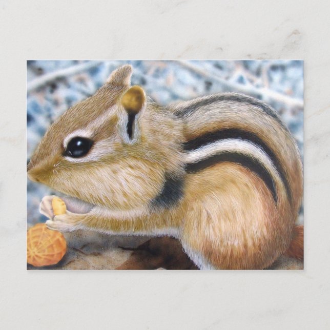 Chipmunk Postcard (Front)