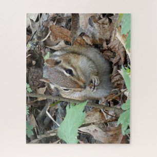 Chipmunk Puzzle