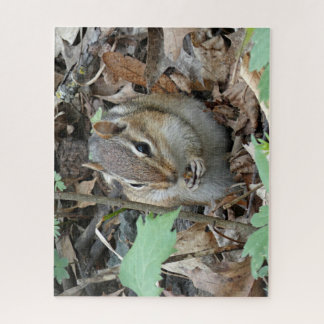 Chipmunk Puzzle