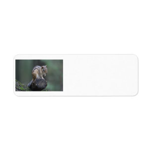 Chipmunk return address labels