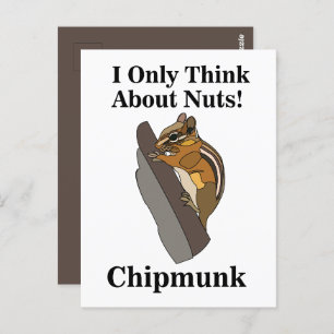 Chipmunk Rodent Funny Postcard