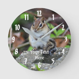 Chipmunk Sitting Animal Round Clock
