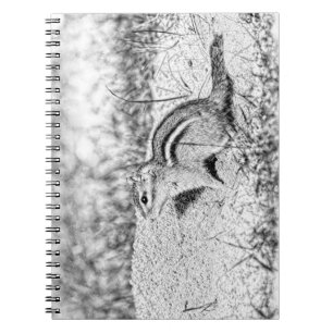 Chipmunk Sketch Notebook
