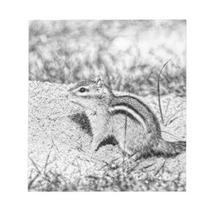 Chipmunk Sketch Notepad