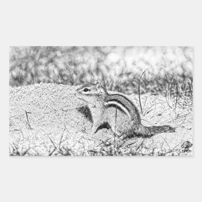 Chipmunk Sketch Rectangular Sticker (Front)