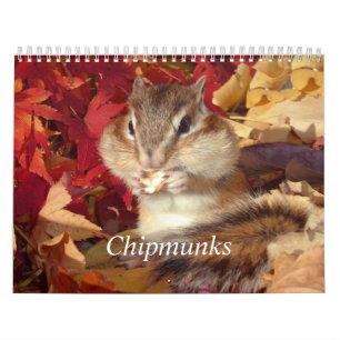 chipmunk,Squirrel,photo,calendar Calendar