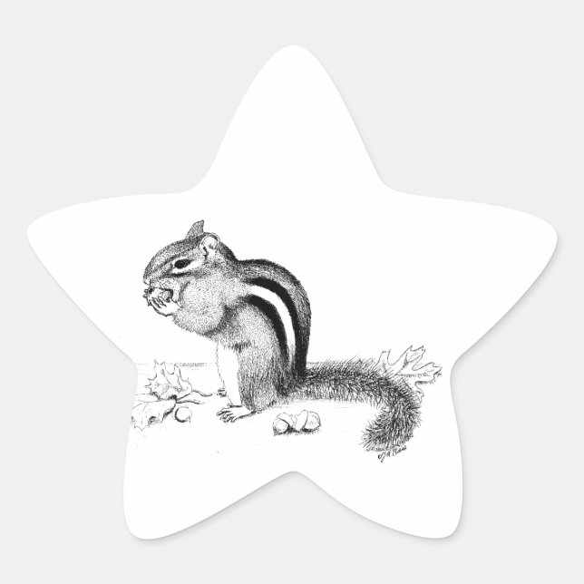 Chipmunk Star Sticker (Front)