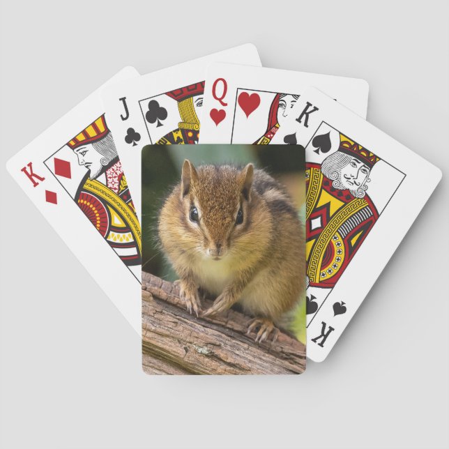 Chipmunk Stare Playing Cards (Back)