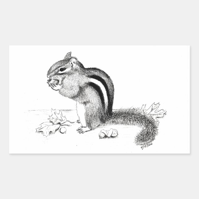 Chipmunk Sticker (Front)