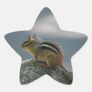 Chipmunk Stickers