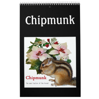 chipmunk (USA) Calendar