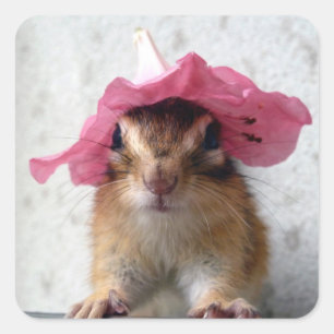 Chipmunk wears flower hat square sticker