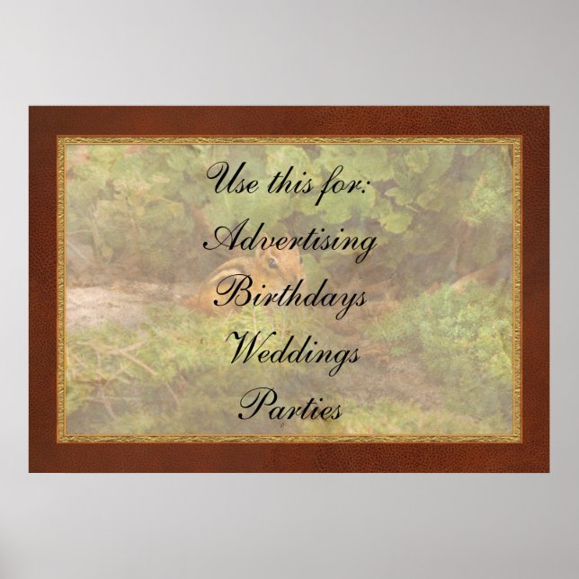 Chipmunk - What a cutie Poster (Front)