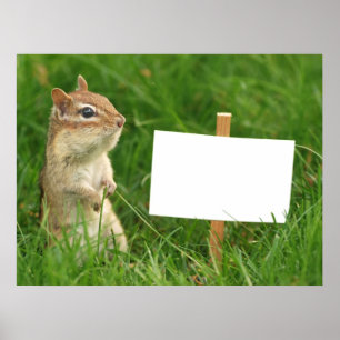 chipmunk with blank sign