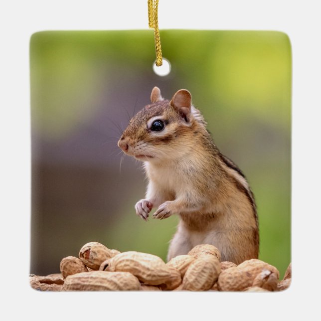 Chipmunk with peanuts ceramic tree decoration (Front)