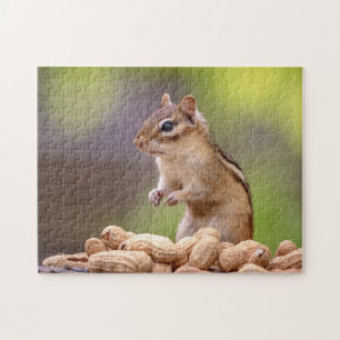 Chipmunk with peanuts jigsaw puzzle