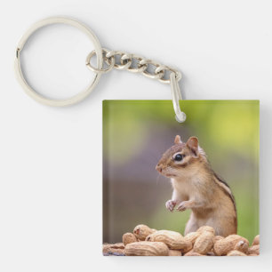 Chipmunk with peanuts key ring