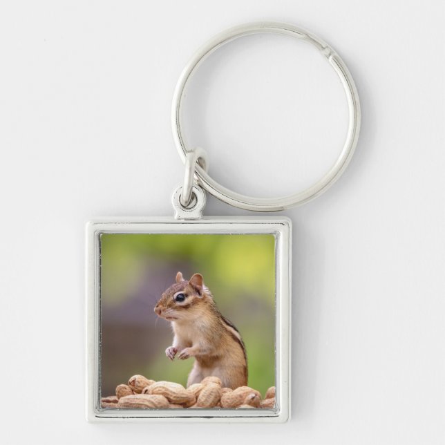 Chipmunk with peanuts key ring (Front)