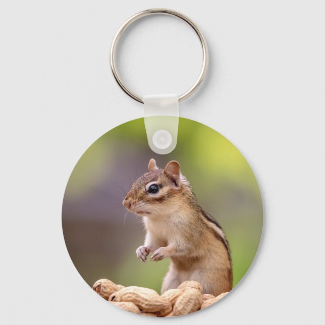 Chipmunk with peanuts key ring (Front)