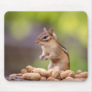 Chipmunk with peanuts mouse mat