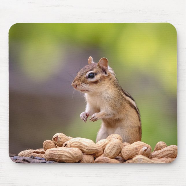 Chipmunk with peanuts mouse mat (Front)