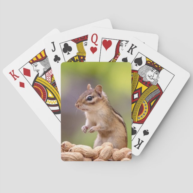 Chipmunk with peanuts playing cards (Back)