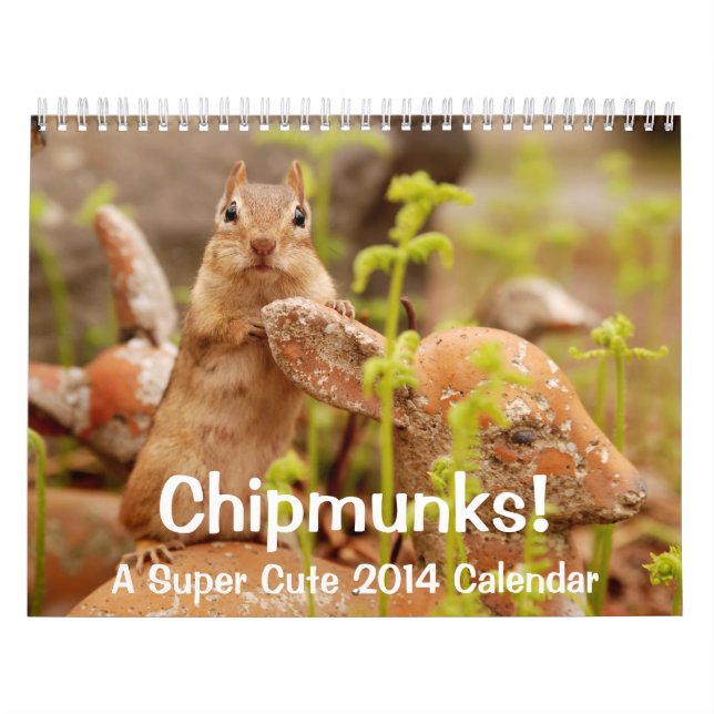 Chipmunks! A Super Cute 2014 Wall Calendar (Cover)