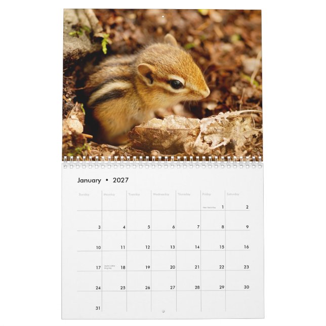 Chipmunks! A Super Cute 2015 Wall Calendar (Jan 2027)