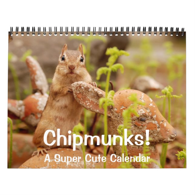 Chipmunks! A Super Cute Wall Calendar (Cover)