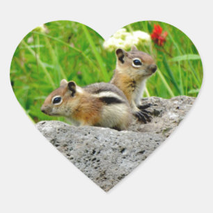 Chipmunks and wildflowers heart sticker