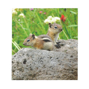 Chipmunks and wildflowers notepad