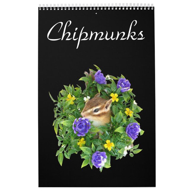 chipmunk's calendar (All countries) (Cover)