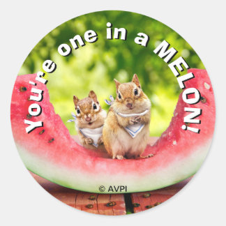 Chipmunks Eating Watermelon Classic Round Sticker