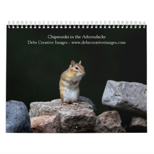 Chipmunks in the Adirondacks 2025 Calendar
